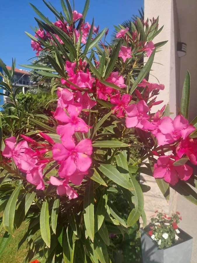 Apartment Near The Beach Pula