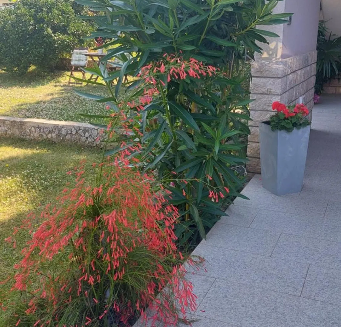 Near The Beach Pula Apartment